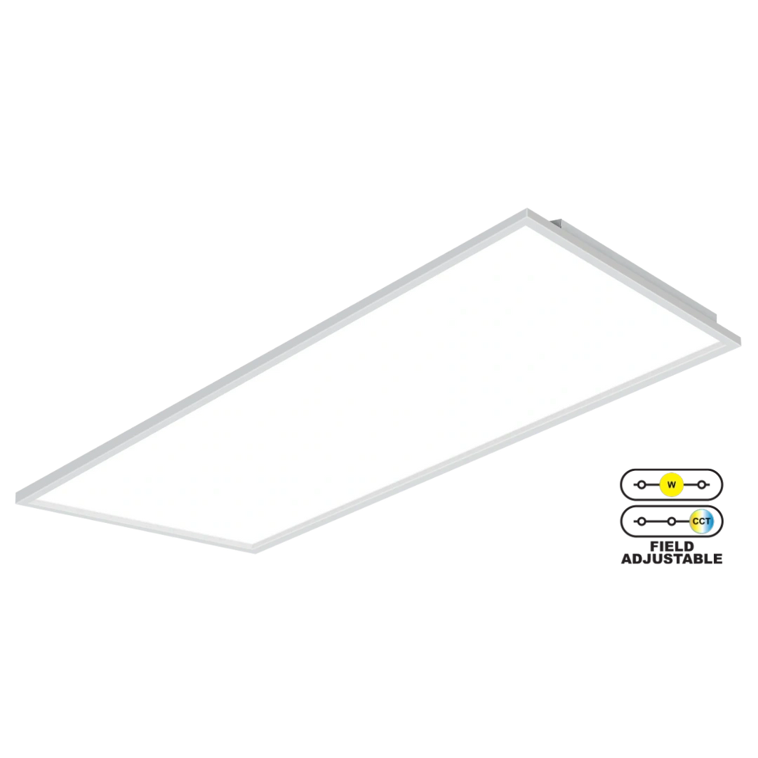 LED Flat Panel 2x4 Selectable (Pack of 4) (OSL-BPL)