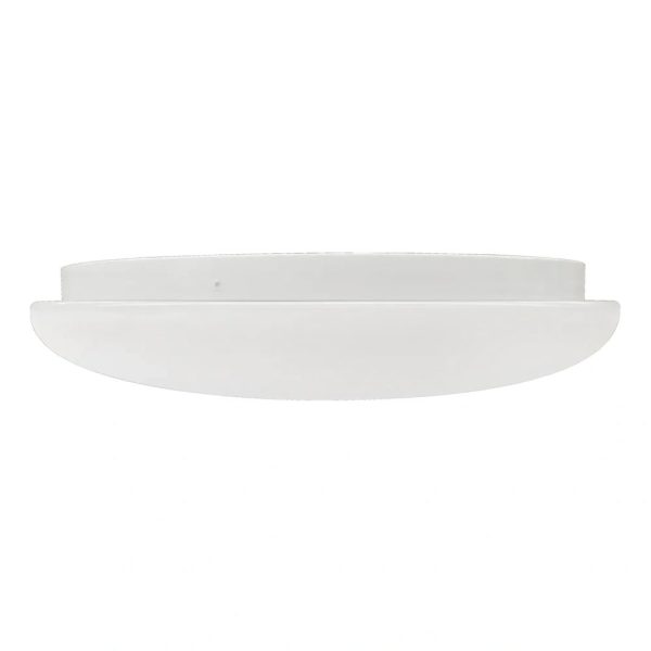 Round Surface Mount Light (OSL-SMR)